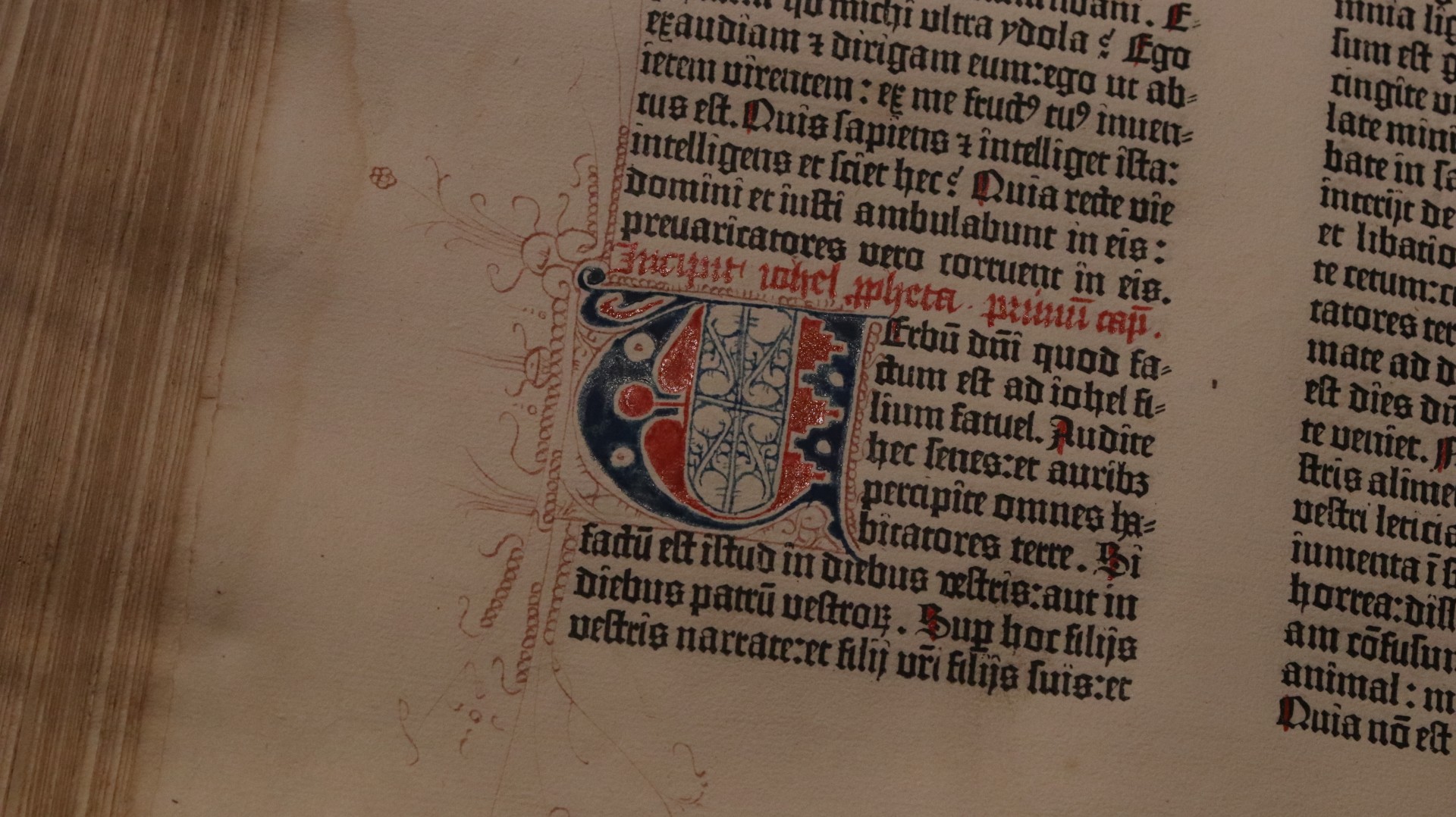 Nowa wystawa stała w pelplińskim Muzeum Biblii Gutenberga i Sztuki Sakralnej. Można tu też zobaczyć oryginał pelplińskiej Biblii Gutenberga (FOTO)