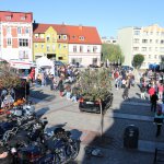 fot. Wojciech Piepiorka