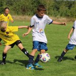 fot. Wojciech Piepiorka