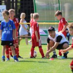 fot. Wojciech Piepiorka