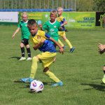 fot. Wojciech Piepiorka