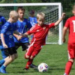 fot. Wojciech Piepiorka