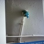 zdjęcia z transmisji online